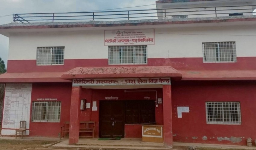 बैतडीको भेटेरिनरी अस्पताल सत्र महिनादेखि चिकित्सकविहीन